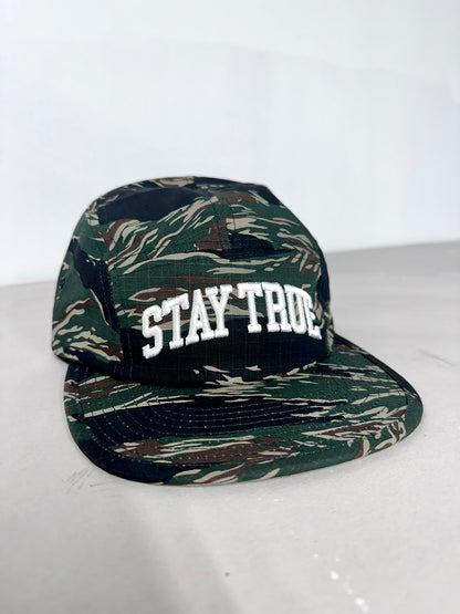 Arch 5 Panel